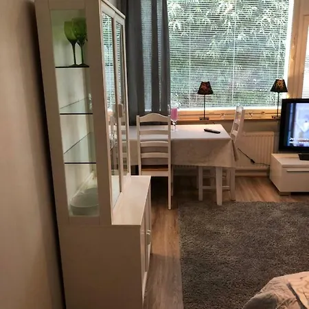 Yksio Porvoon Keskustassa Lejlighed Porvoo